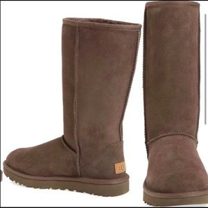 UGG boot (Chocolate, tall)